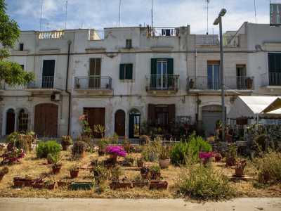 Una di queste � abitata dalla signora Angela che, davanti alla sua casetta, ha creato un lussureggiante giardino ricostruito, fiore dopo fiore, grazie a una petizione cittadina